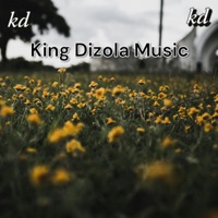 Lifestyle (feat. Spitjero & Freezer) - Single - Dizola 47