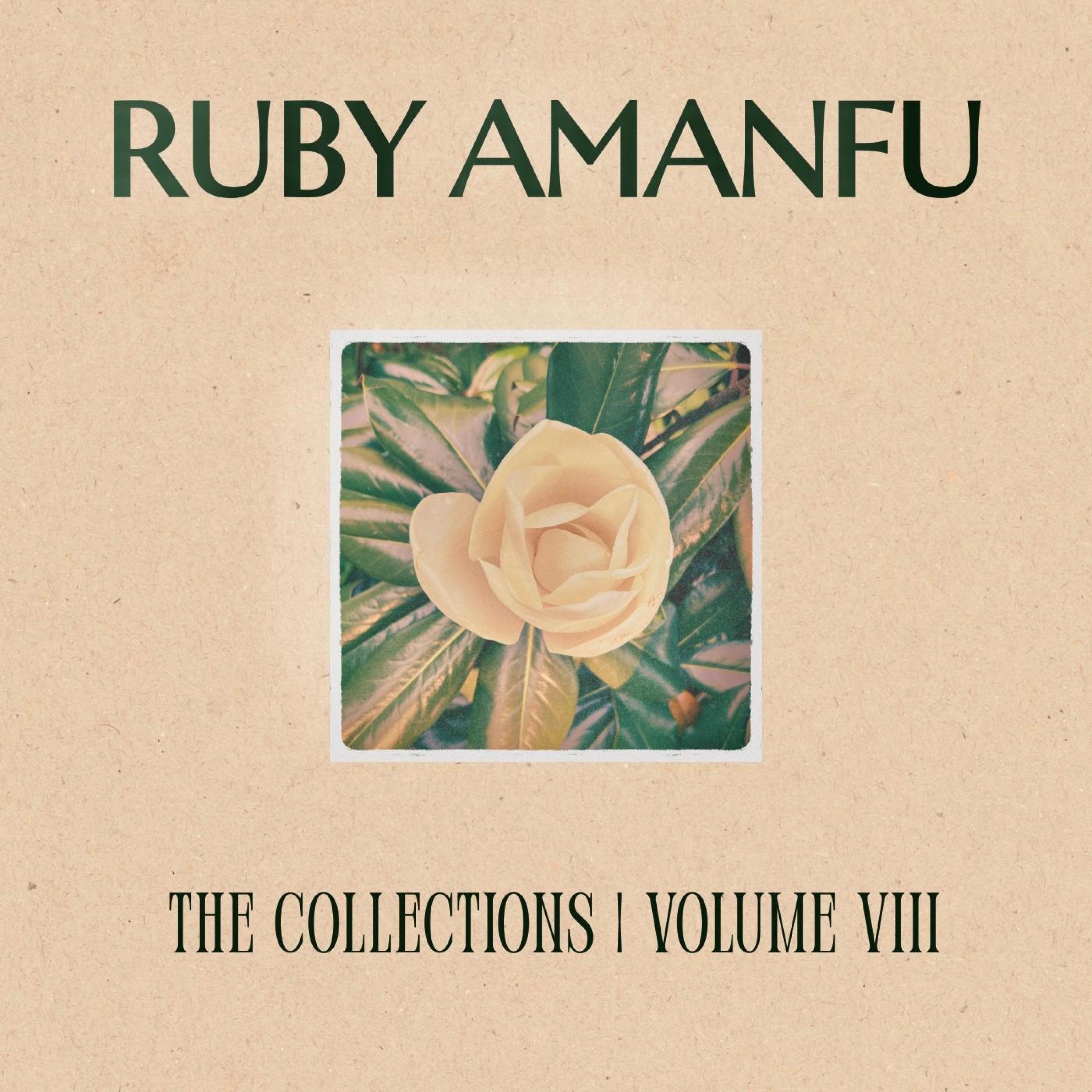 THE COLLECTIONS VOLUME VIII