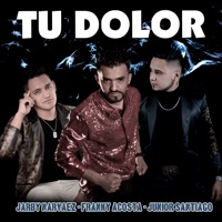 Tu Dolor (Cover) [feat. Jarby Narváez & Junior Santiago] - Single - Franky Acosta