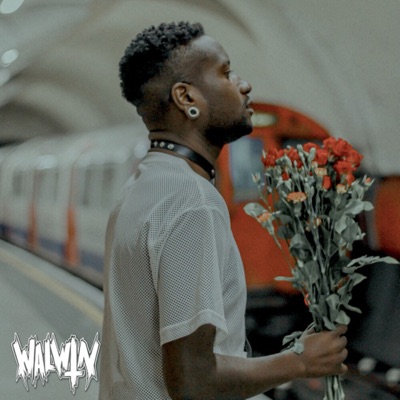 Thorns (Vanill3r and Vanora Remix) - Single