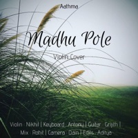 Madhu Pole (feat. Grijith Rajan) [Violin Instrumental] - Single - Nikhil Neelakandan & Antony Jos