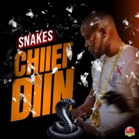 Snakes - Single - Chiief Diin