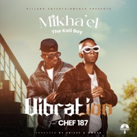 Vibration (feat. Chef 187) - Single - Mikha'el