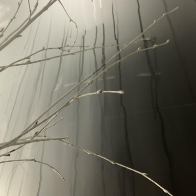 SOMBRENITY (feat. mikeAl0ne) - EP