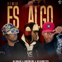 ES ALGO (Remix) [feat. Alejandro TV Music] - Single - El Vallo, Los Ok Ok & DJ Flow Titi