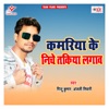 Kamariya Ke Niche Takiya Lagav - Single