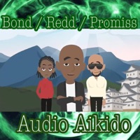 Audio Aikido (feat. Young Promiss) - Single - AmAFlow