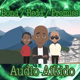 Audio Aikido (feat. Young Promiss) AmAFlow