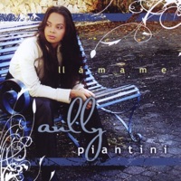 Llamame - Anlly Piantini