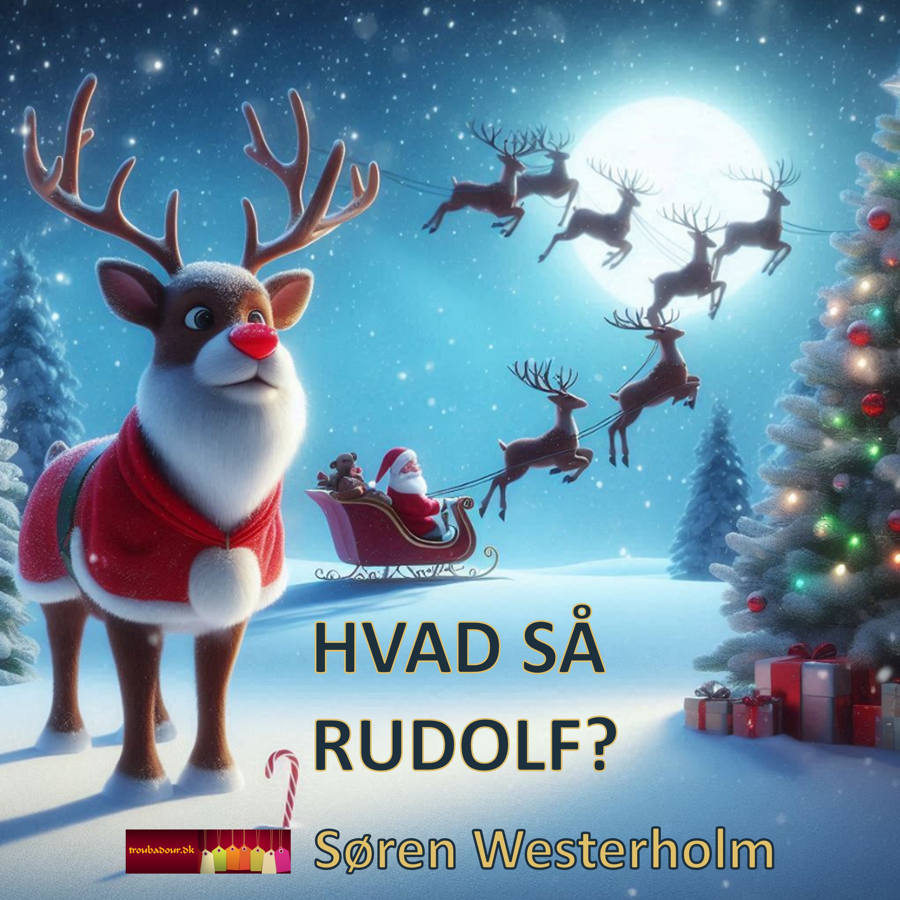 HVAD SÅ RUDOLF? - Single