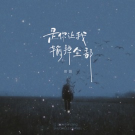 是你让我输掉全部 (Dj九零版) Yuan Tian