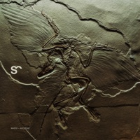 Accident - Single - Wasta