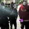 Hate OppsK - LulTav lyrics