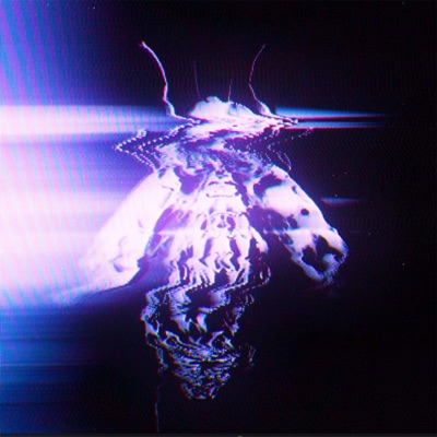 Anxiety - Single