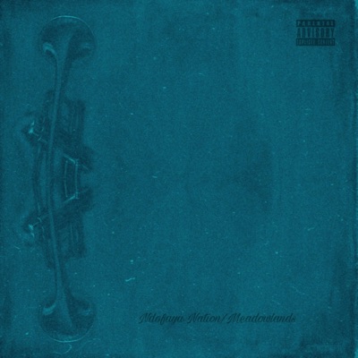 NDOFAYA NATION + - Single
