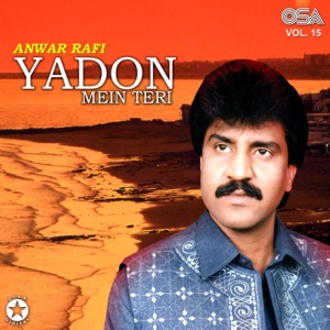 Yadon Mein Teri, Vol. 15