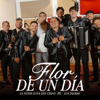 Flor De Un Día - Single - Palmae & La Nueva Luna del Chino