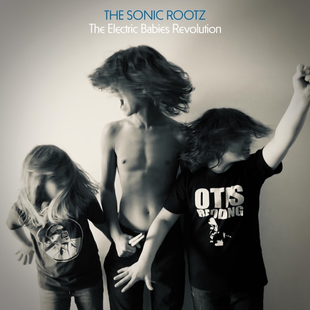 Burning Love - Single - The Sonic Rootzのアルバム - Apple Music