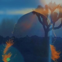 Adapa - Single - Huffy