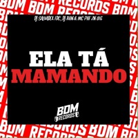 Ela Tá Mamando - Single - DJ BHN, MC PHF ZN 016 & DJ Salvadex FDC