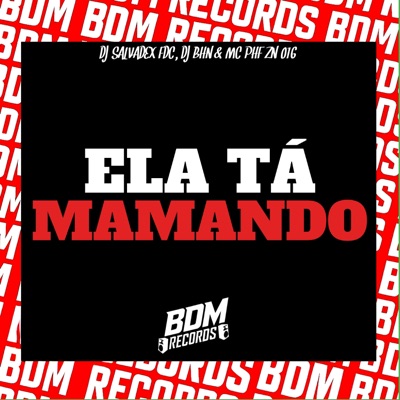 Ela Tá Mamando - Single