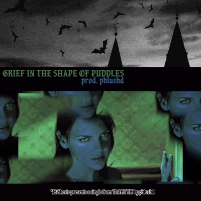 grief in the shape of puddles - Single