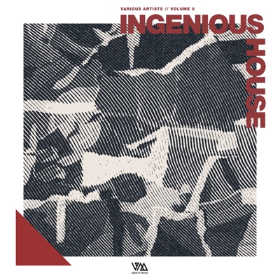 Ingenious House, Vol. 5