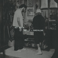 NOT AGAIN - Single - Vwillz & Pardyalone