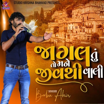 જાગલ તુ તો મને જીવ થી વાલી  JAGAL TU TO MANE JIV THI VALI  BABU AHIR - Single