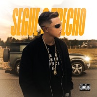 Segue o trecho - Single - MC Gabriell
