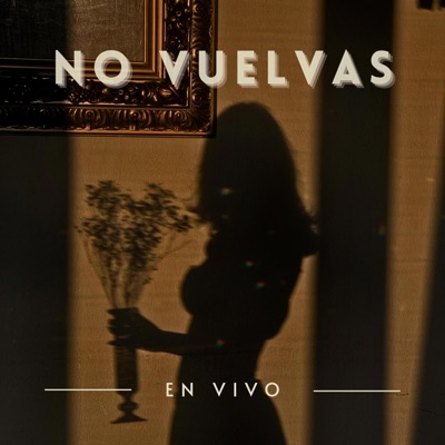 No vuelvas - Single