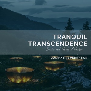 Tranquil Transcendence: Bowls and Words of Wisdom