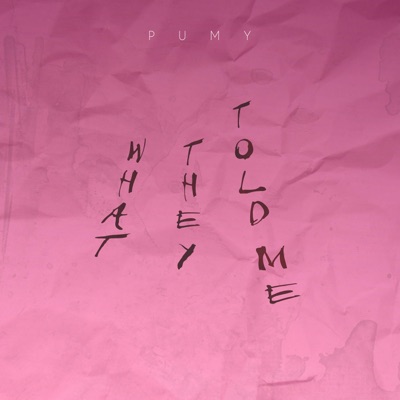 What they told me - Single