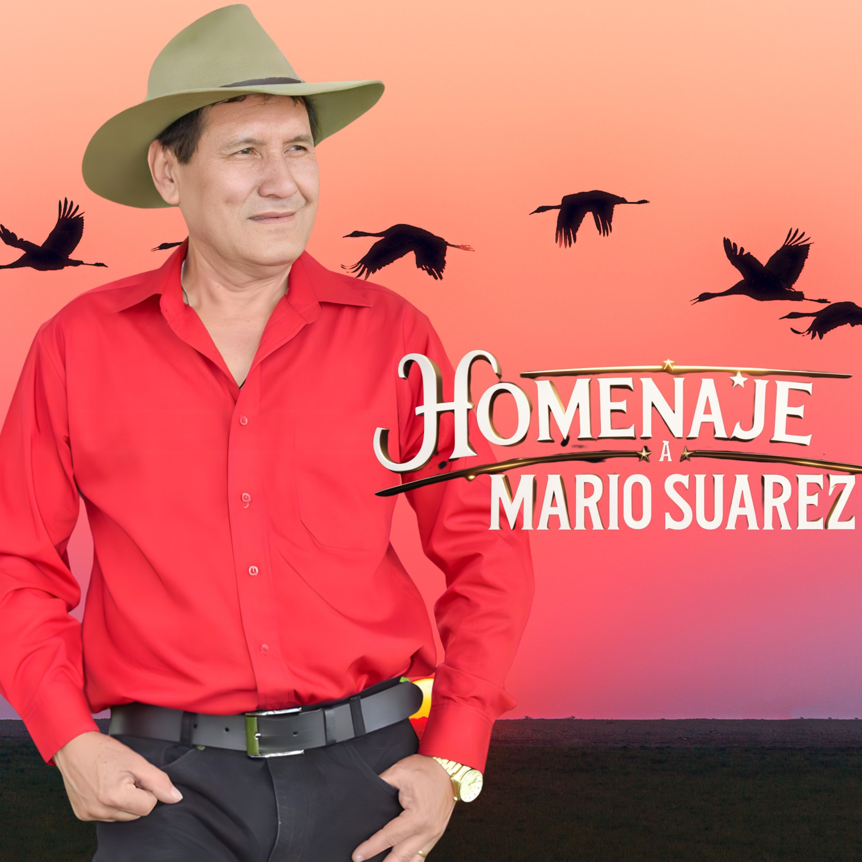 Homenaje a Mario Suárez - Single