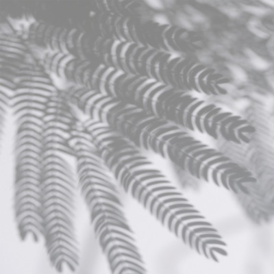 Coma-Media - Business Video Ambient