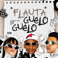 Flauta Guelo Guelo (feat. Mc Jooy) - Single - Mc Neguinho do Morro & MC KTRINA