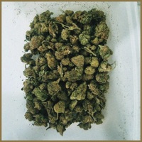 CONSUMO PRÓPRIO - Single - Disco Rebel