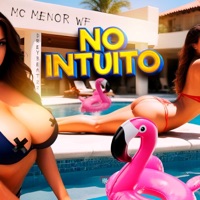 No Intuito - Single - MC MENOR WF