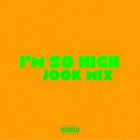 I'm So High Grind Mode (JOOK MIX) - Single - Damien Hendrix