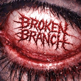 Don't Blink Broken Branch