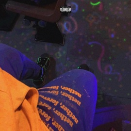nether jeans (feat. DokiDokiManic & cemeteryflowers) Zion