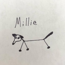 The Foxgloves - Millie