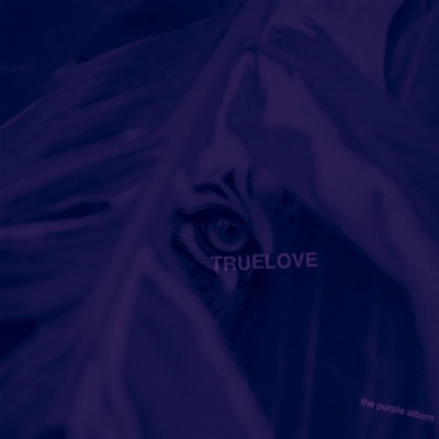 the purple album (purple)