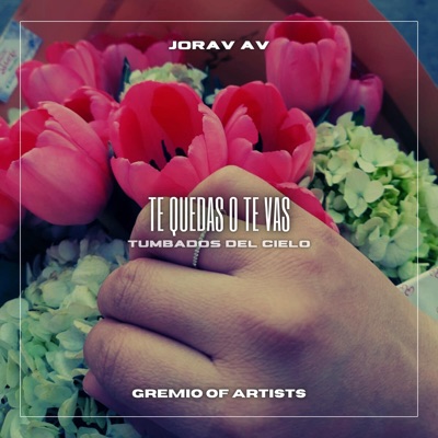 Te Quedas O Te Vas - Single