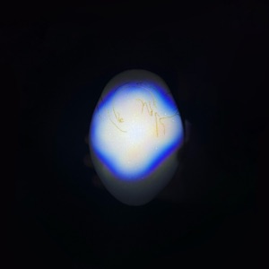 Morpho - EP