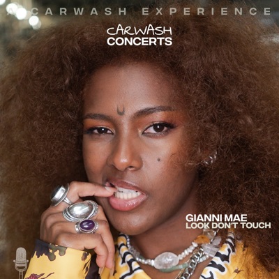 Look don't touch (a carwash experience) - Single