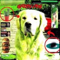 GREEN DOG - Single - Roizor