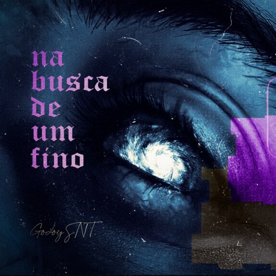 Na Busca de um Fino - Single