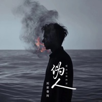 伪人 - Single - 刘家奇阿