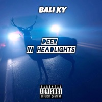 Deer In Headlights - Single - Bali Ky